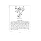An Aztec Herbal: The Classic Codex of 1552