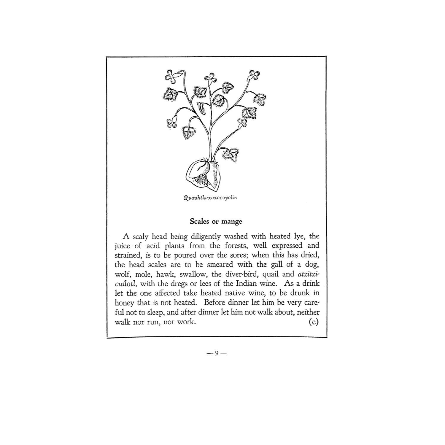 An Aztec Herbal: The Classic Codex of 1552