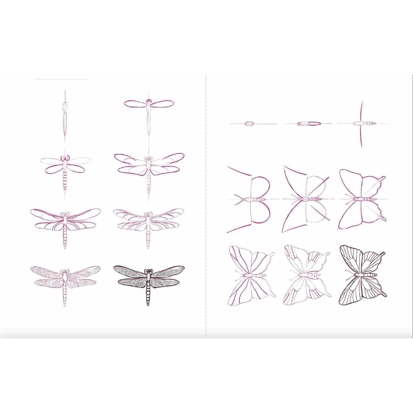 Draw 50 Animals: The Step-By-Step Way to Draw Elephants, Tigers, Dogs, Fish, Birds, and Many More... (Spiral Bound)