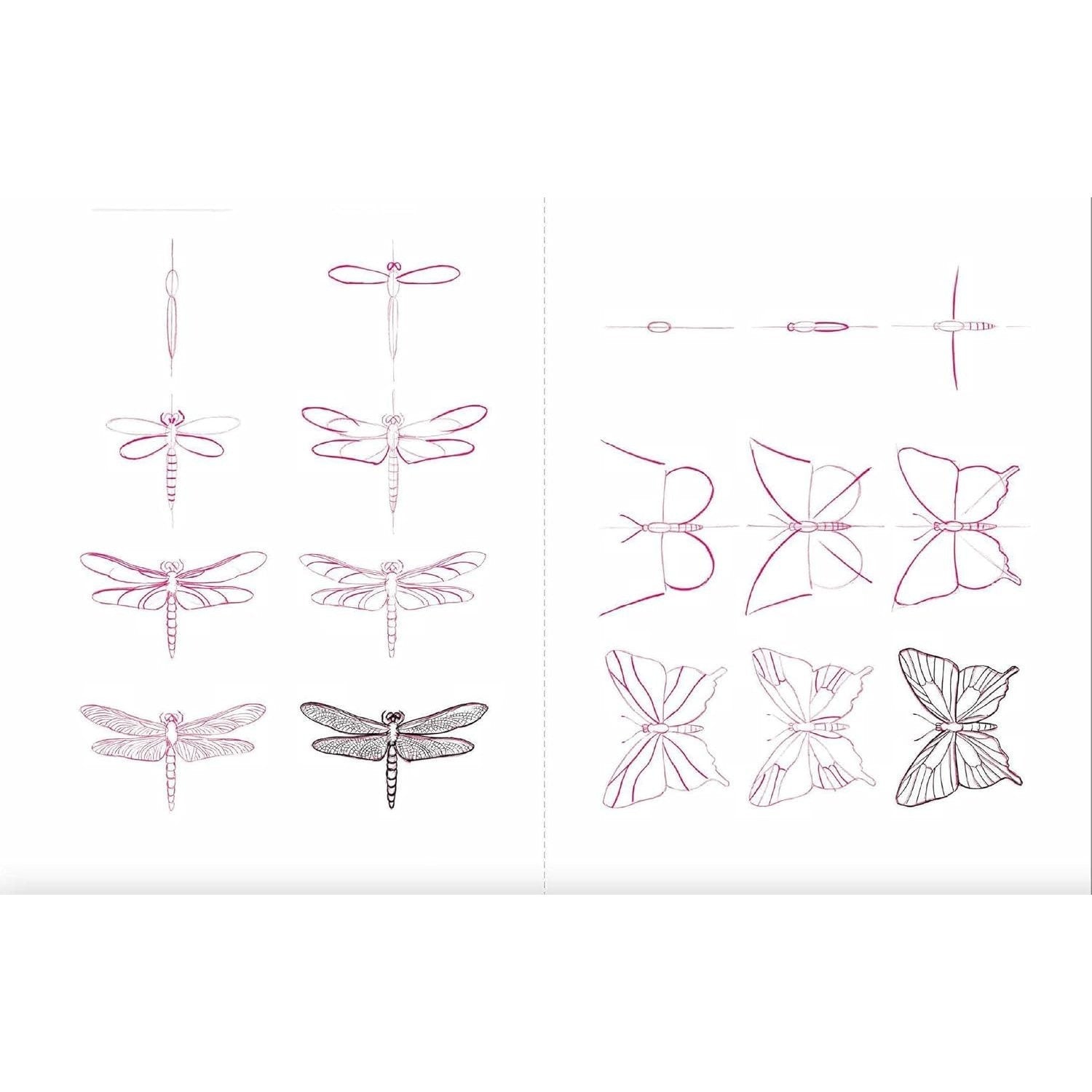 Draw 50 Animals: The Step-By-Step Way to Draw Elephants, Tigers, Dogs, Fish, Birds, and Many More... (Spiral Bound)