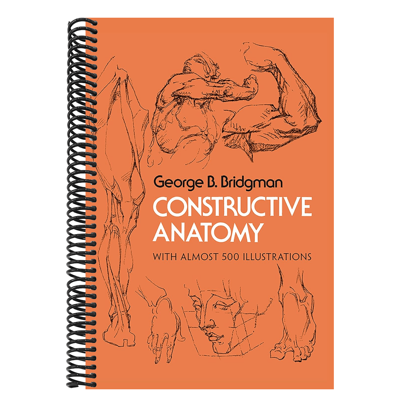 Constructive Anatomy: With Almost 500 Illustrations (Revised) (Dover Anatomy for Artists) (Spiral Bound)