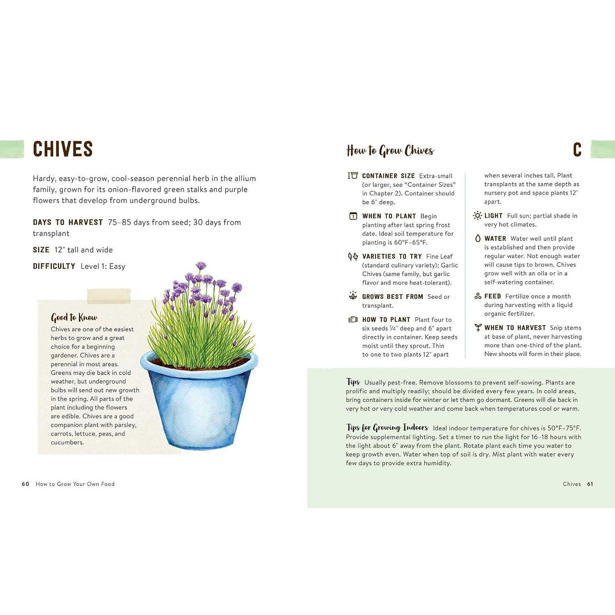 How to Grow Your Own Food: An Illustrated Beginner's Guide to Container Gardening
