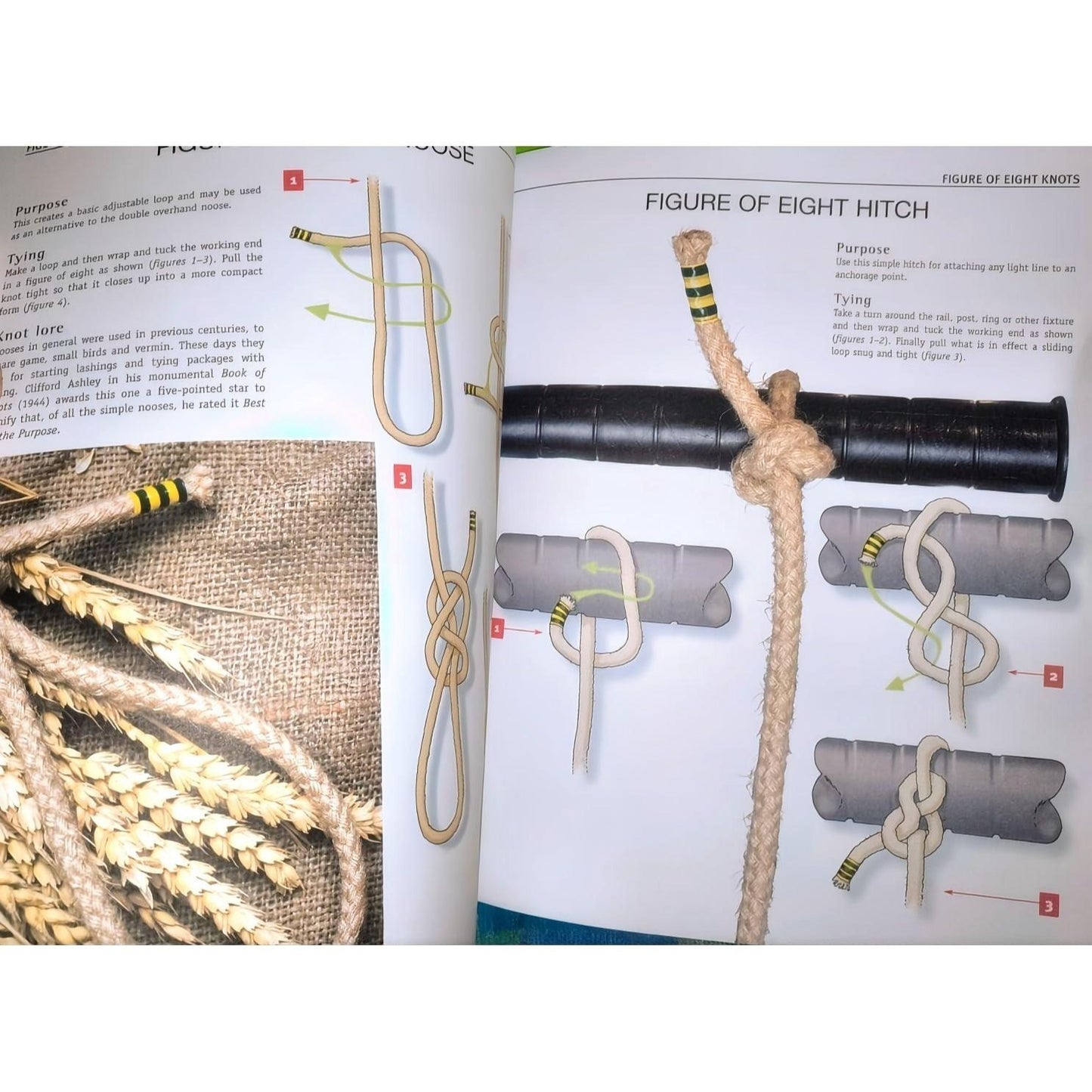 The Ultimate Book of Everyday Knots: (Over 15,000 Copies Sold) (Spiral Bound)