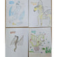 Wings of Fire: The Official How to Draw (Spiral Bound)