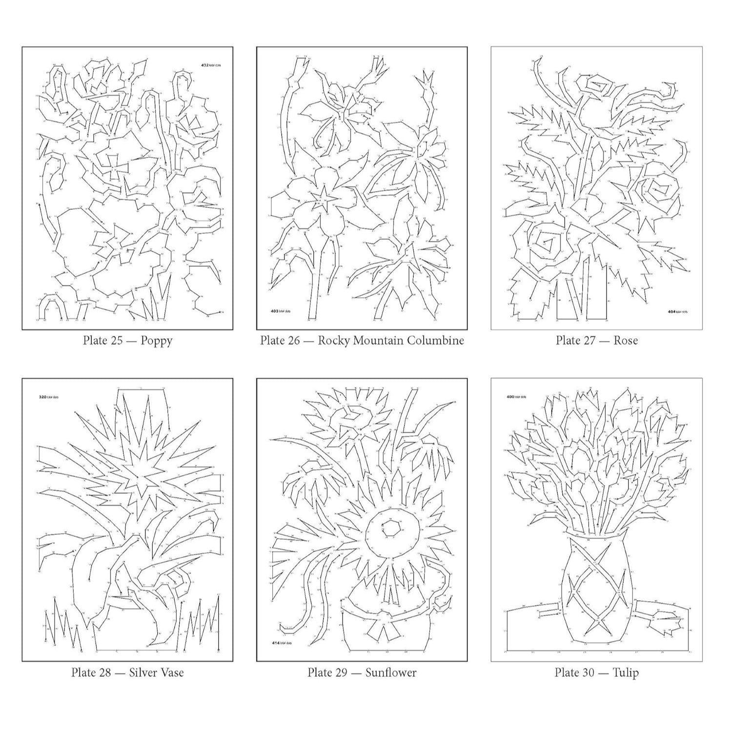 Creative Haven Flowers Dot-To-Dot Coloring Book