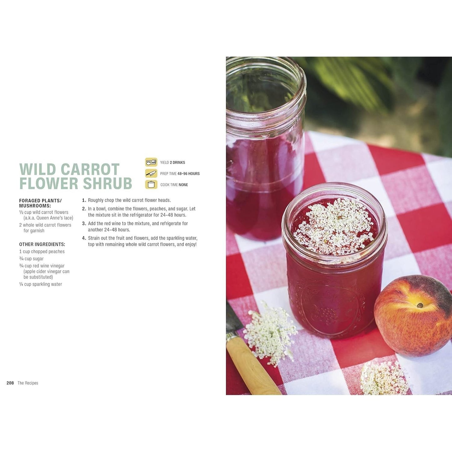 Foraging: Explore Nature's Bounty and Turn Your Foraged Finds Into Flavorful Feasts (Spiral Bound)