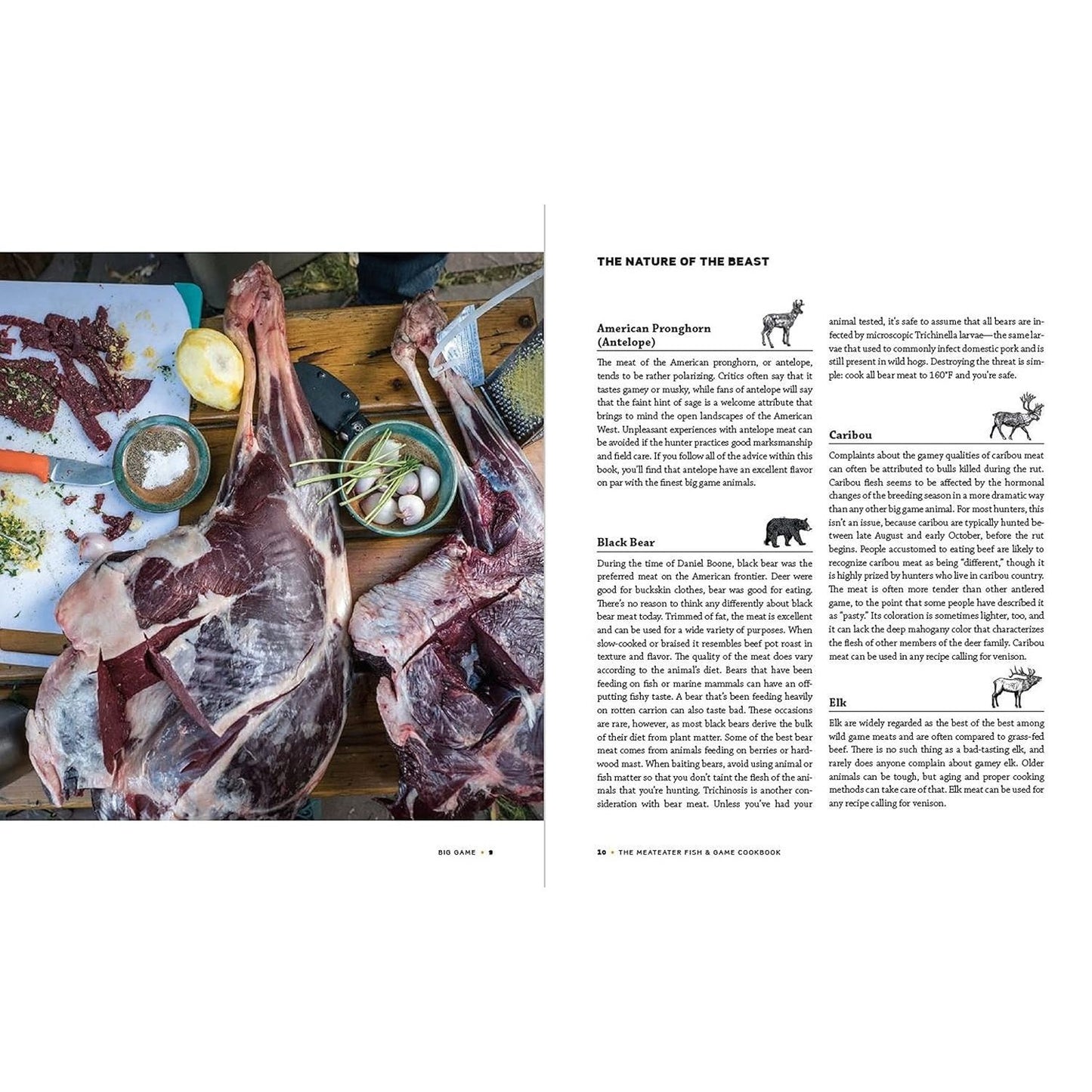 The Meateater Fish and Game Cookbook: Recipes and Techniques for Every Hunter and Angler (Spiral Bound)