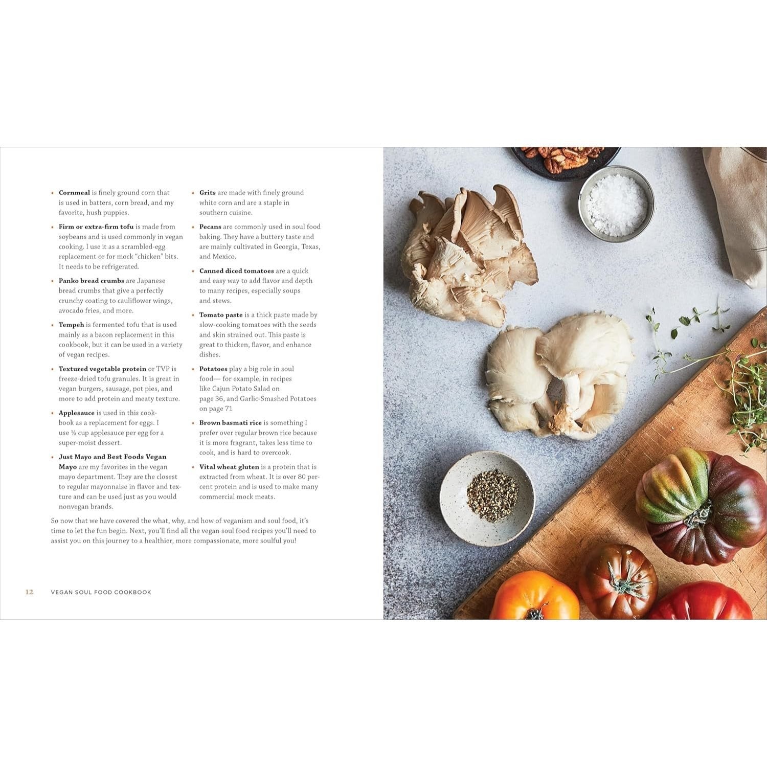 Vegan Soul Food Cookbook: Plant-Based, No-Fuss Southern Favorites (Spiral Bound)