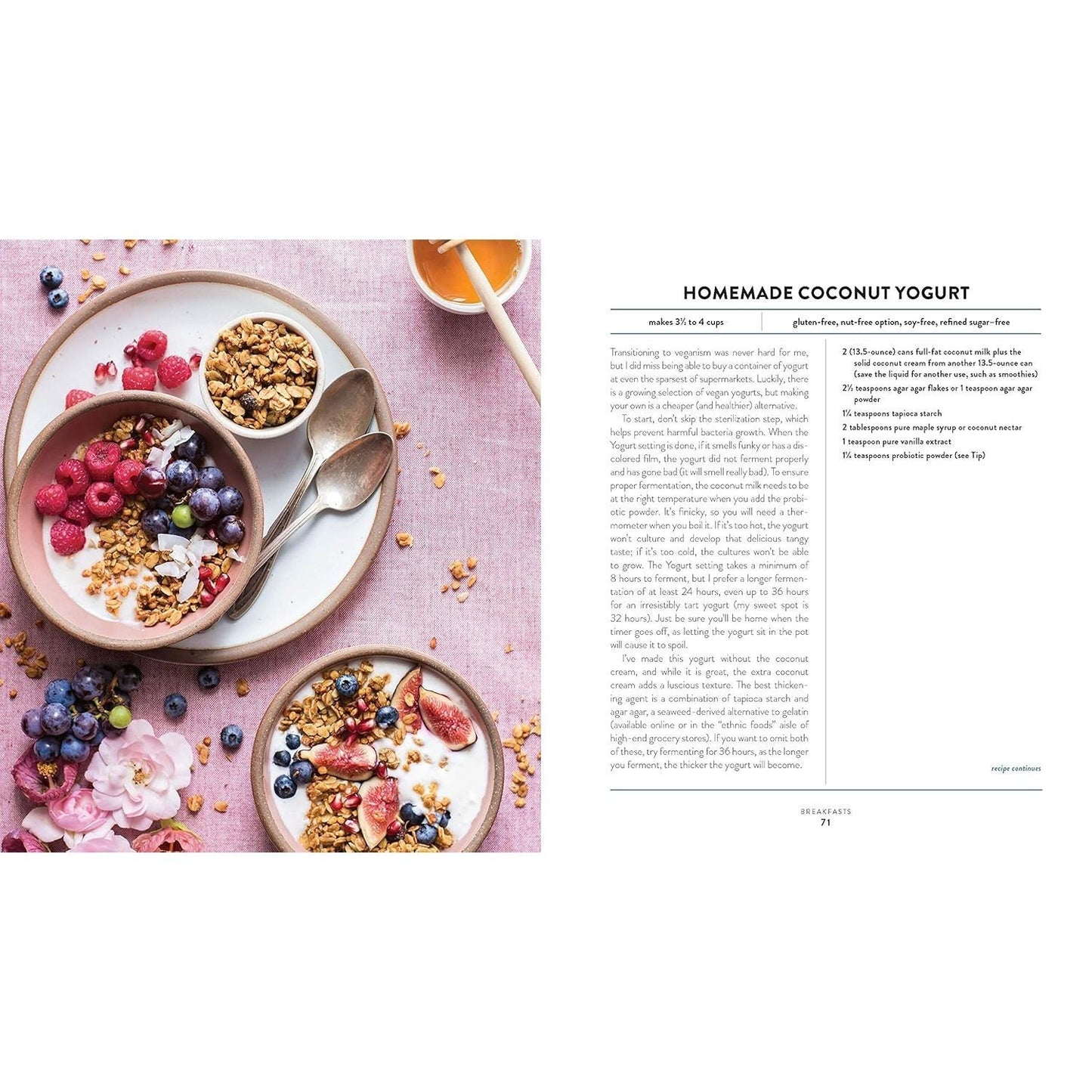 The Vegan Instant Pot Cookbook: Wholesome, Indulgent Plant-Based Recipes (Spiral Bound)