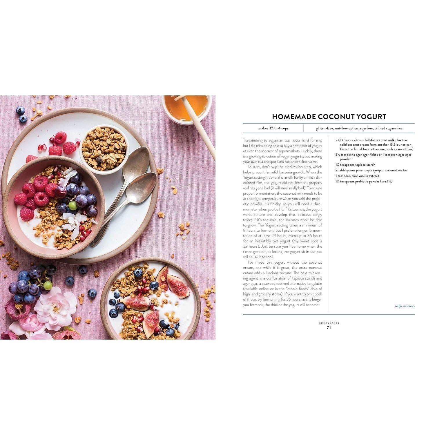 The Vegan Instant Pot Cookbook: Wholesome, Indulgent Plant-Based Recipes (Spiral Bound)