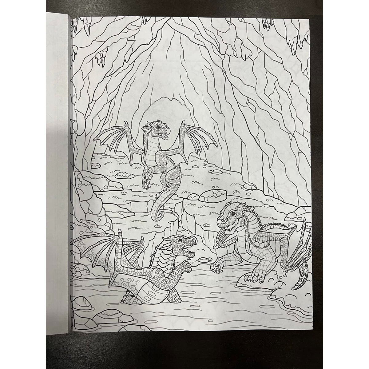 Official Wings of Fire Coloring Book (Spiral Bound)