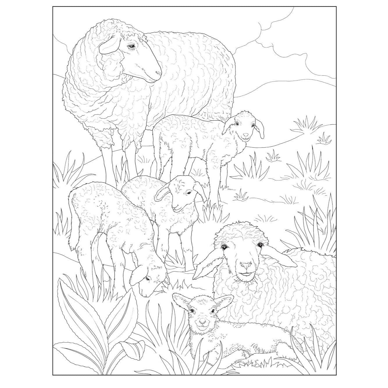 Creative Haven Lovable Baby Animals Coloring Book