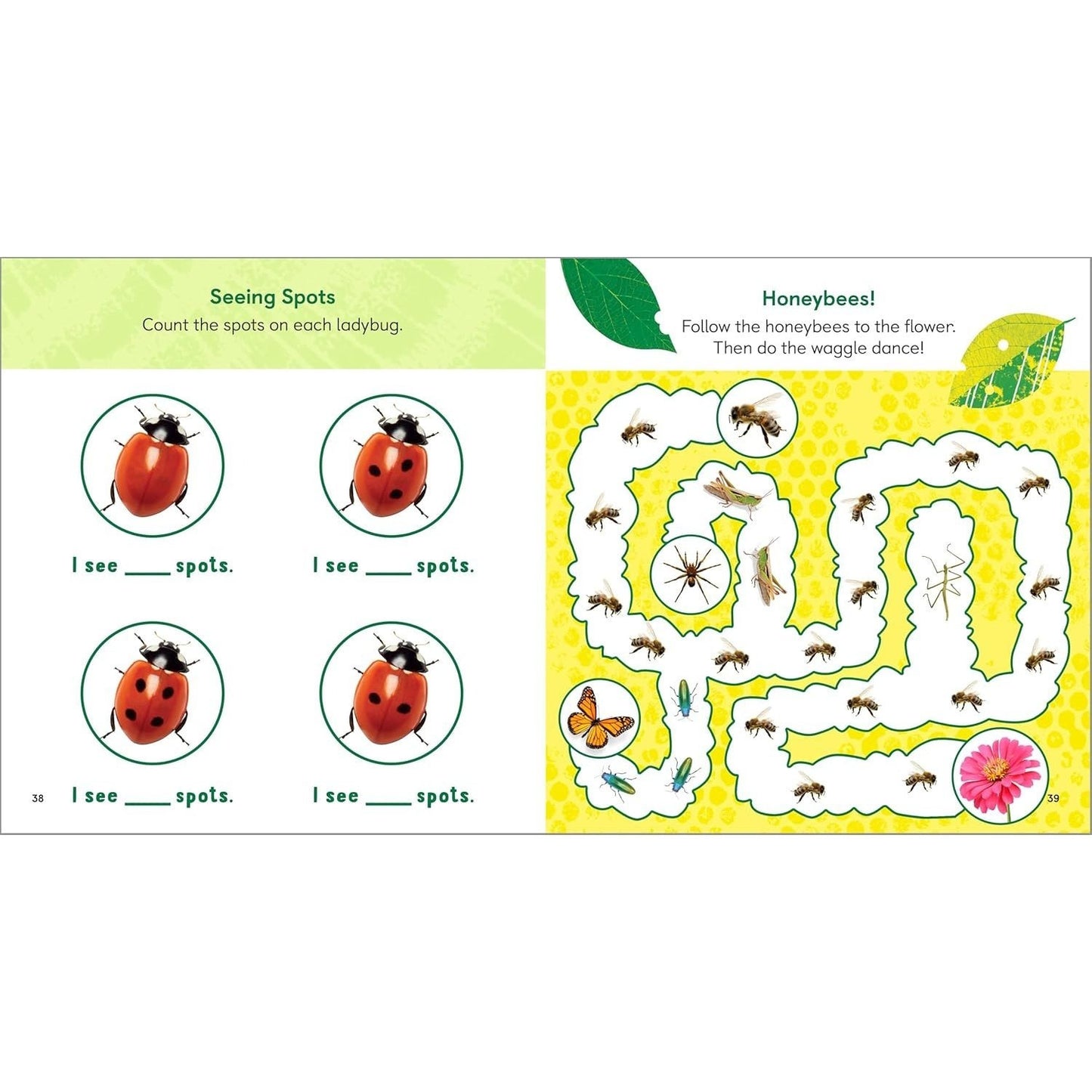 The Backyard Bug Book for Kids: Storybook, Insect Facts, and Activities (Let's Learn about Bugs and Animals) (Spiral Bound)