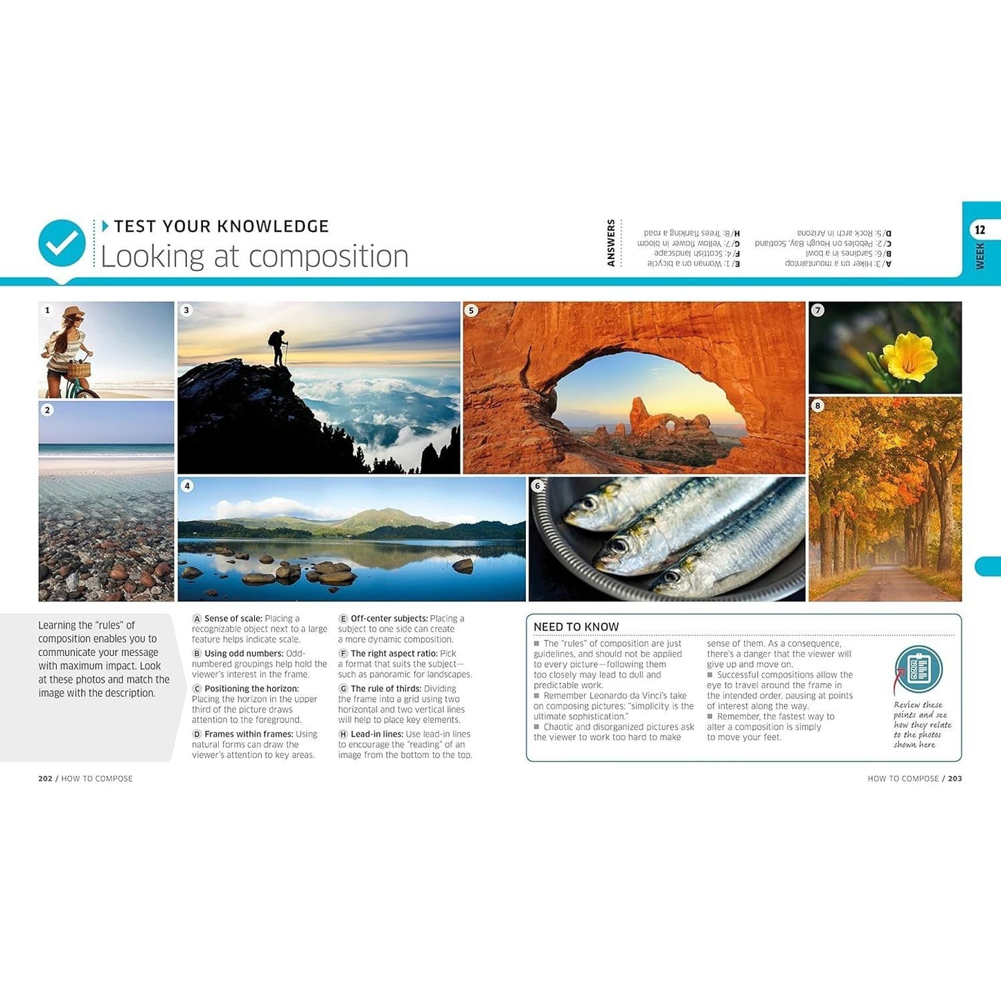 Digital Photography Complete Course: Learn Everything You Need to Know in 20 Weeks (Reissue) (DK Complete Courses) (Spiral Bound)