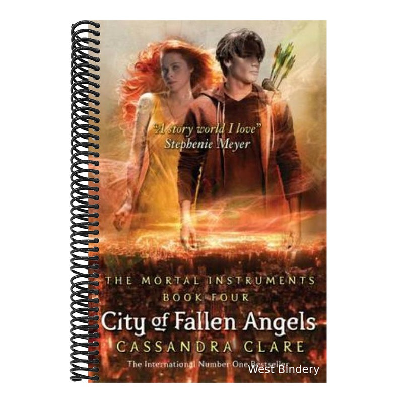 City of Fallen Angels