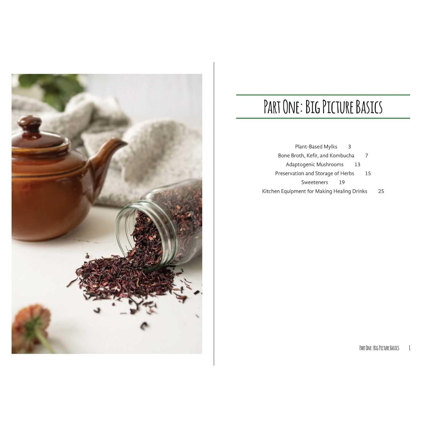 Good Living Guide to Healing Drinks: Juices, Smoothies, Broths & Herbal Teas
