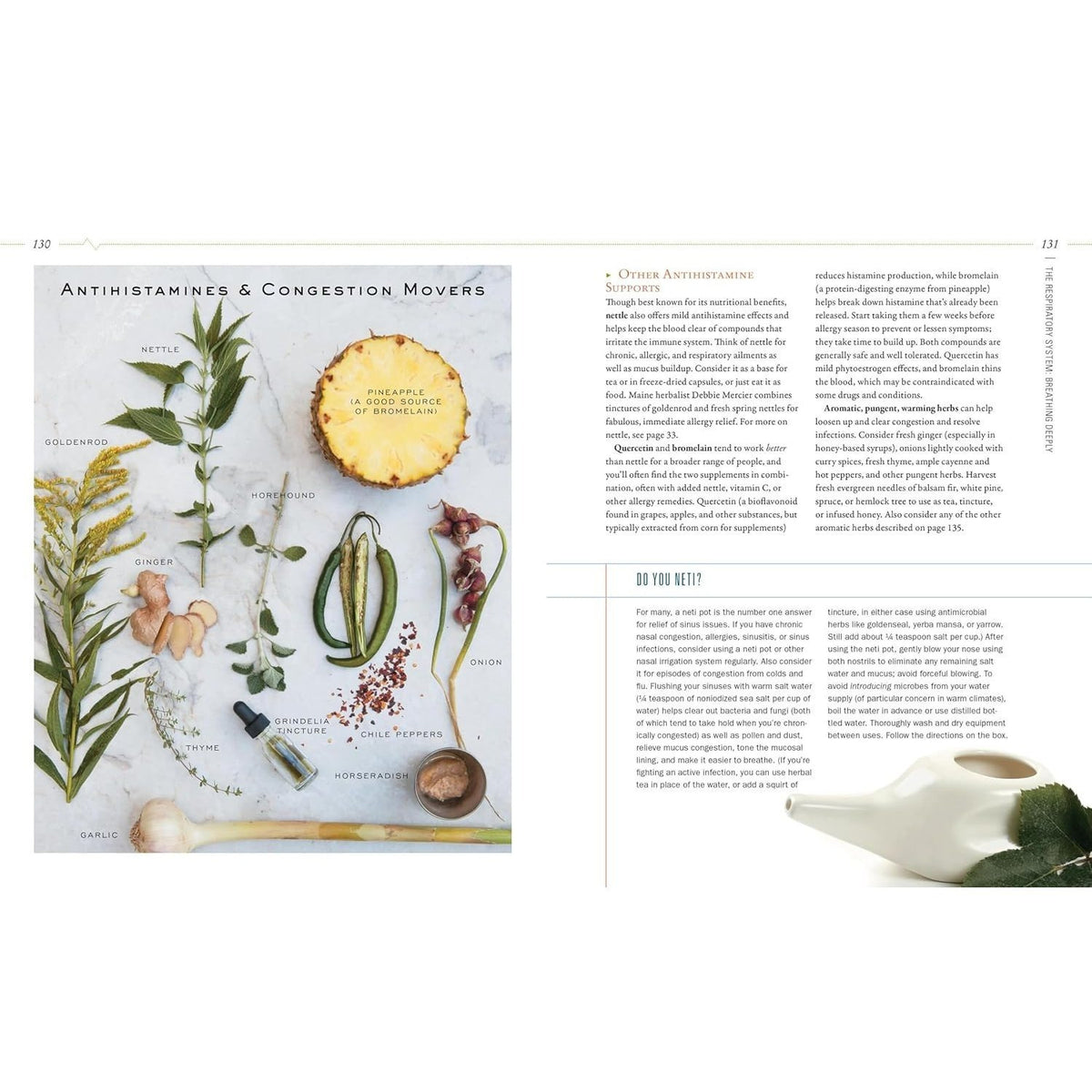 Body Into Balance: An Herbal Guide to Holistic Self-Care (Spiral Bound)