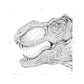 Colormorphia: Celebrating Kerby Rosanes's Coloring Challenges