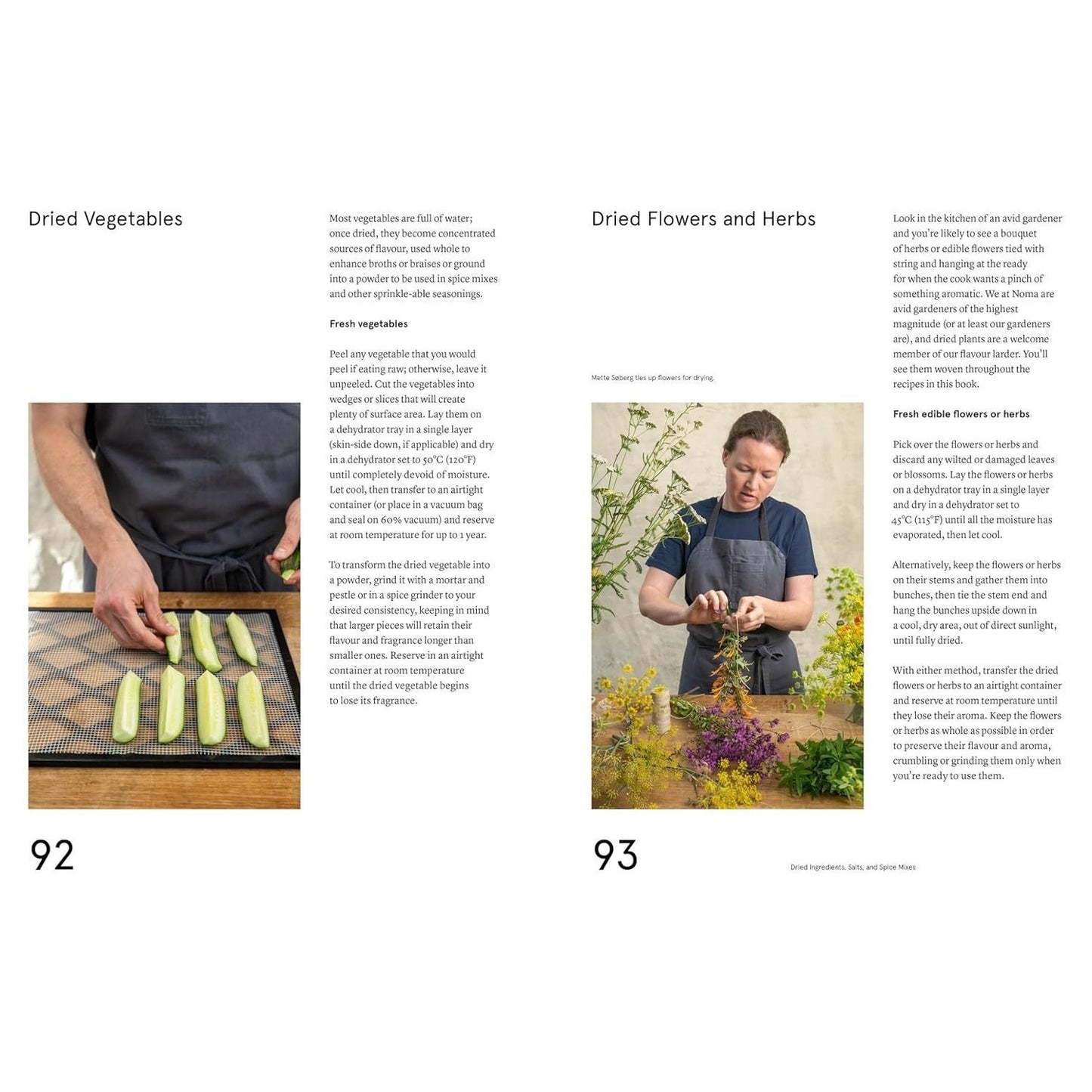 The Noma Guide to Building Flavour: Including Recipes and Techniques for Sauces, Butters, Broths, Reductions, Preserves, Vinaigrettes, Flavoured Salts, an