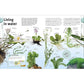 Trees, Leaves, Flowers and Seeds: A Visual Encyclopedia of the Plant Kingdom (DK Our World in Pictures) (Spiral Bound)