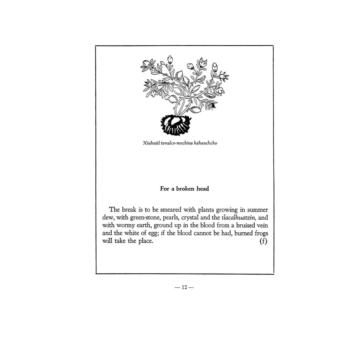 An Aztec Herbal: The Classic Codex of 1552