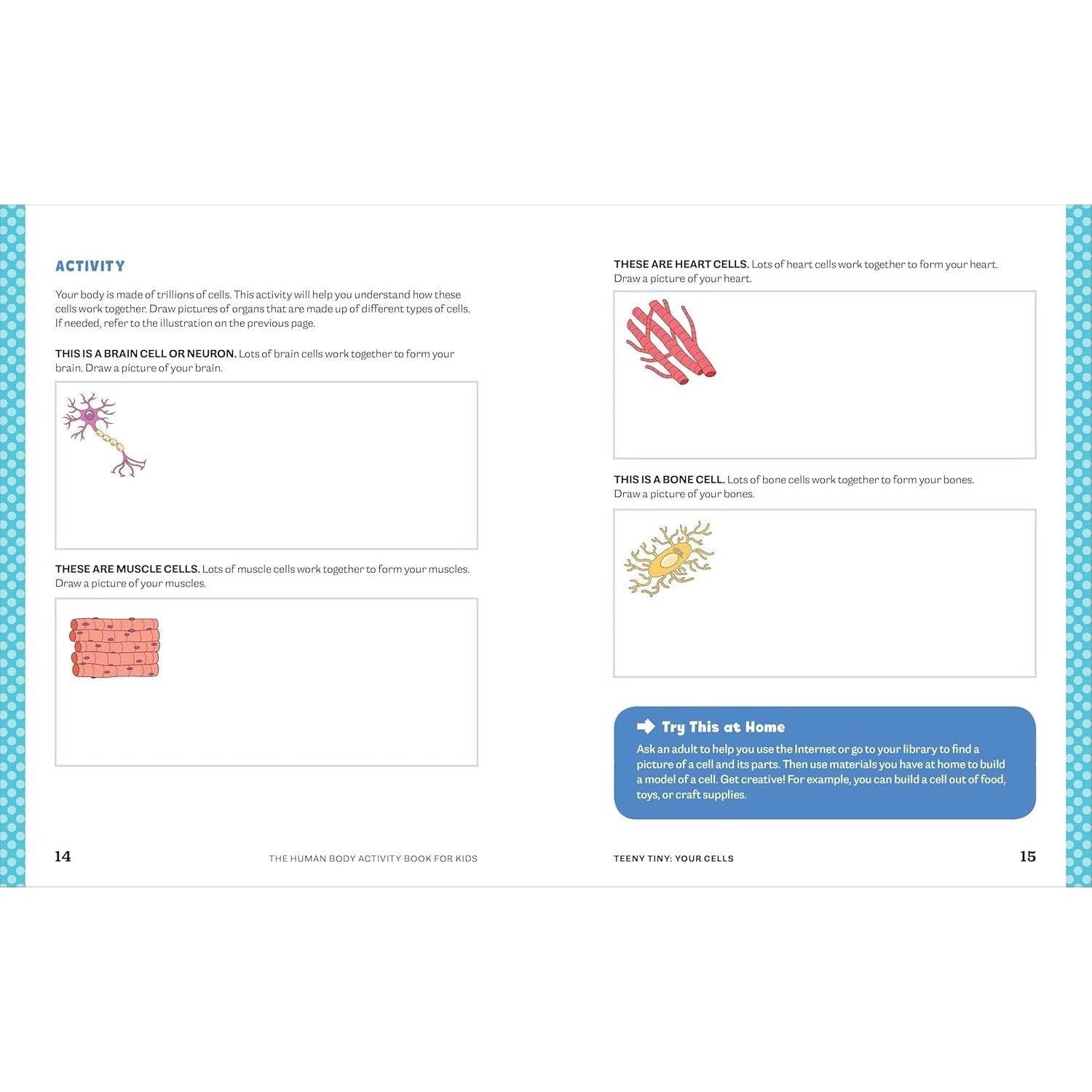Human Body Activity Book for Kids: Hands-On Fun for Grades K-3 (Spiral Bound)