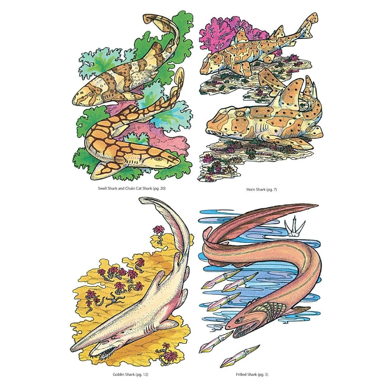 Sharks of the World Coloring Book