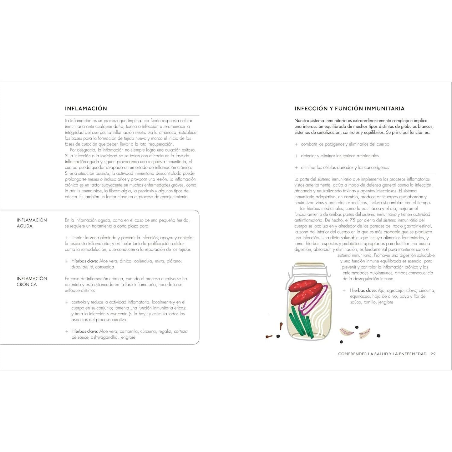 Plantas Medicinales (the Home Herbal): Guía Práctica de Remedios Caseros Para Cuerpo Y Mente