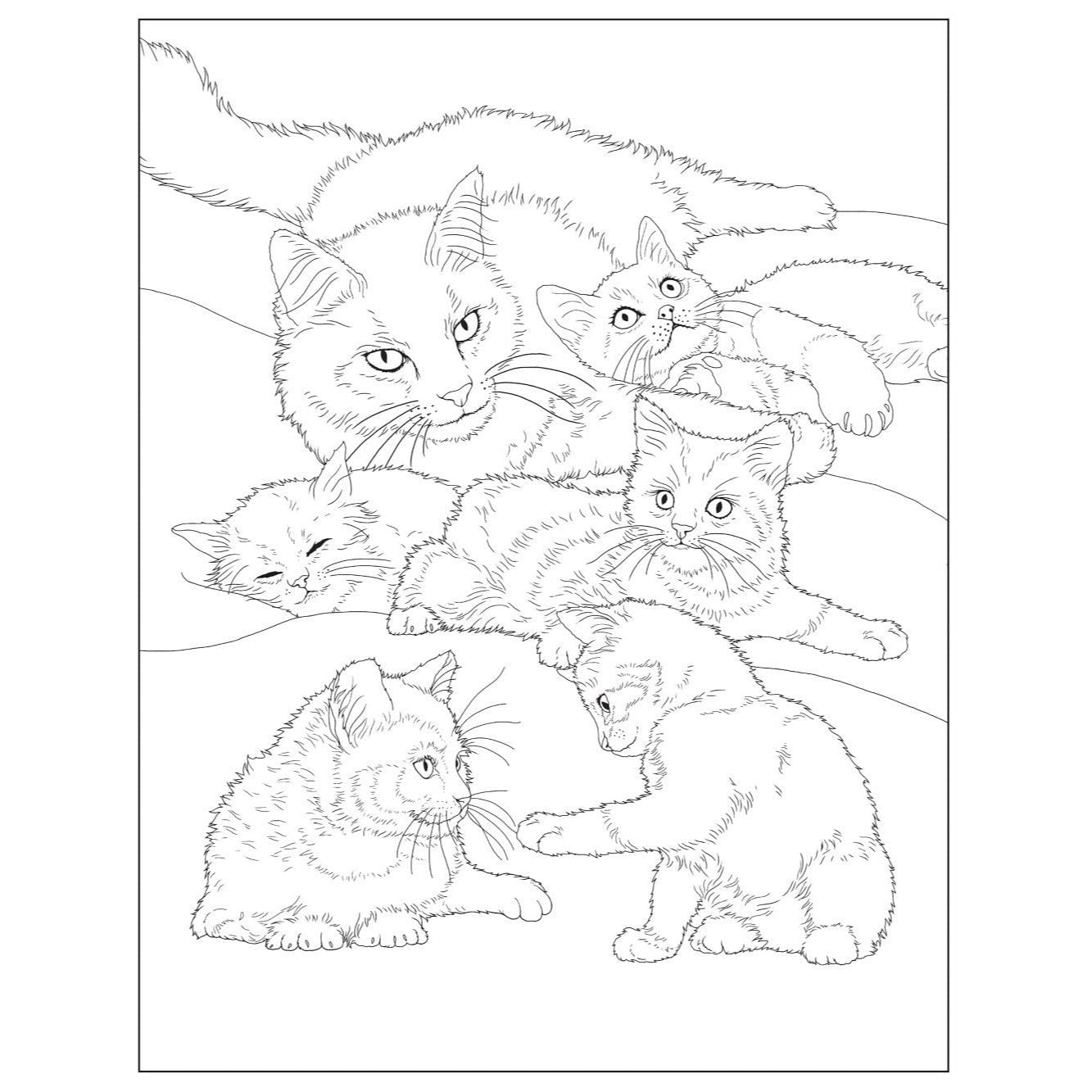 Creative Haven Lovable Baby Animals Coloring Book