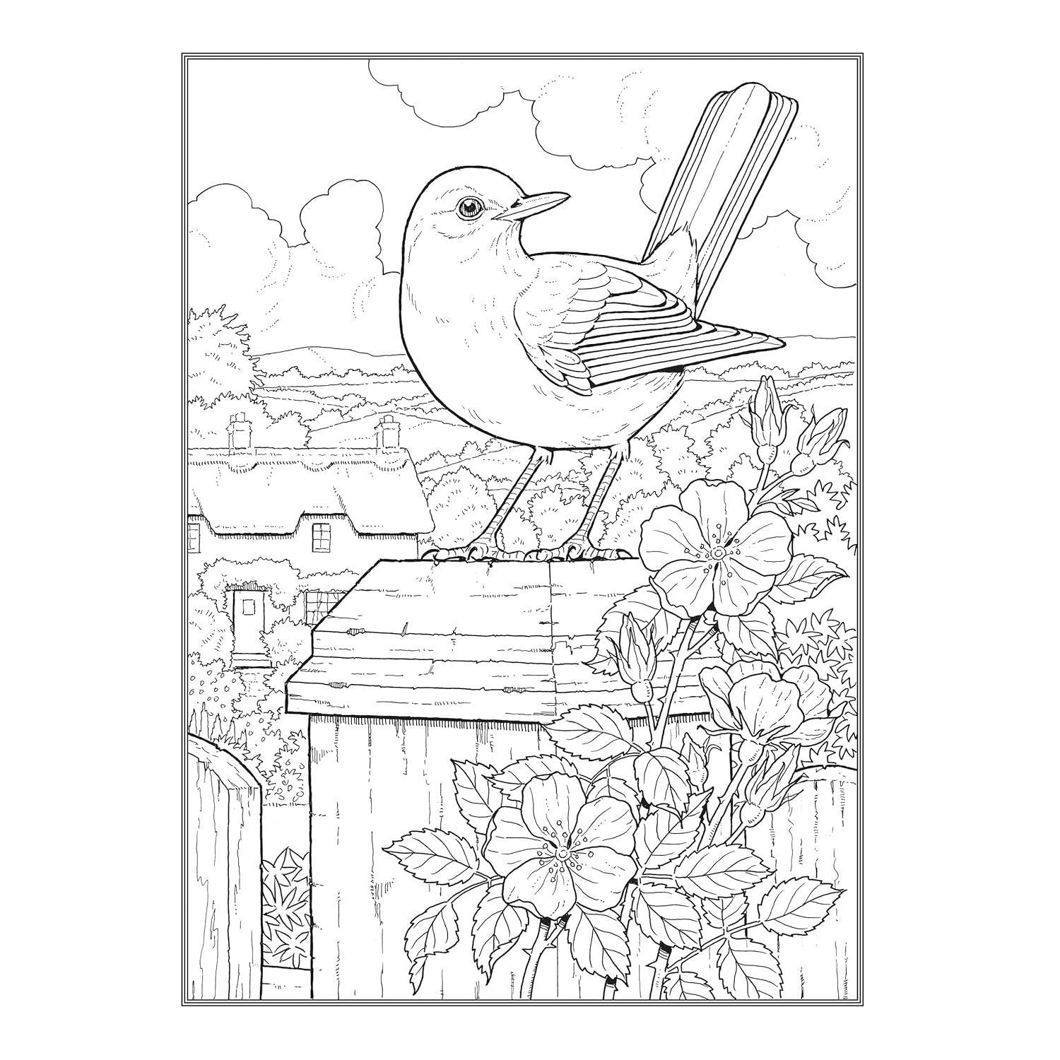 Creative Haven Glorious Songbirds Coloring Book