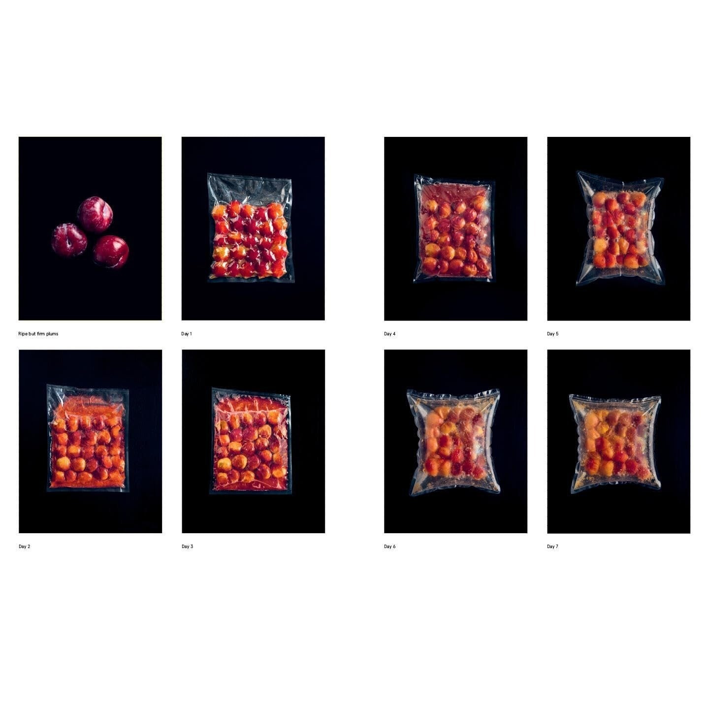 The Noma Guide to Fermentation: Including Koji, Kombuchas, Shoyus, Misos, Vinegars, Garums, Lacto-Ferments, and Black Fruits and Vegetables