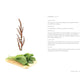 Edible Wild Plants for Beginners: The Essential Edible Plants and Recipes to Get Started