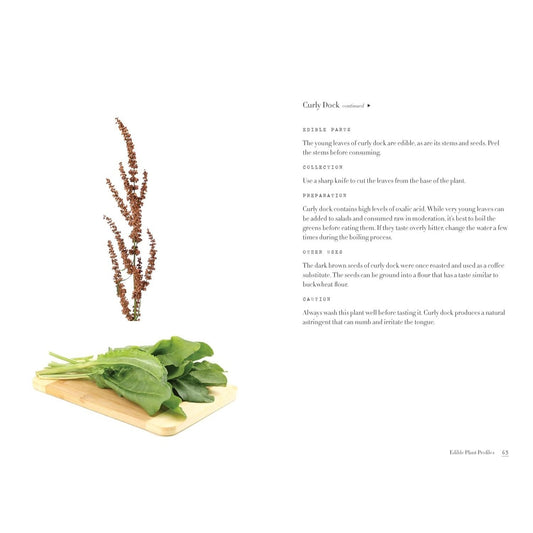 Edible Wild Plants for Beginners: The Essential Edible Plants and Recipes to Get Started