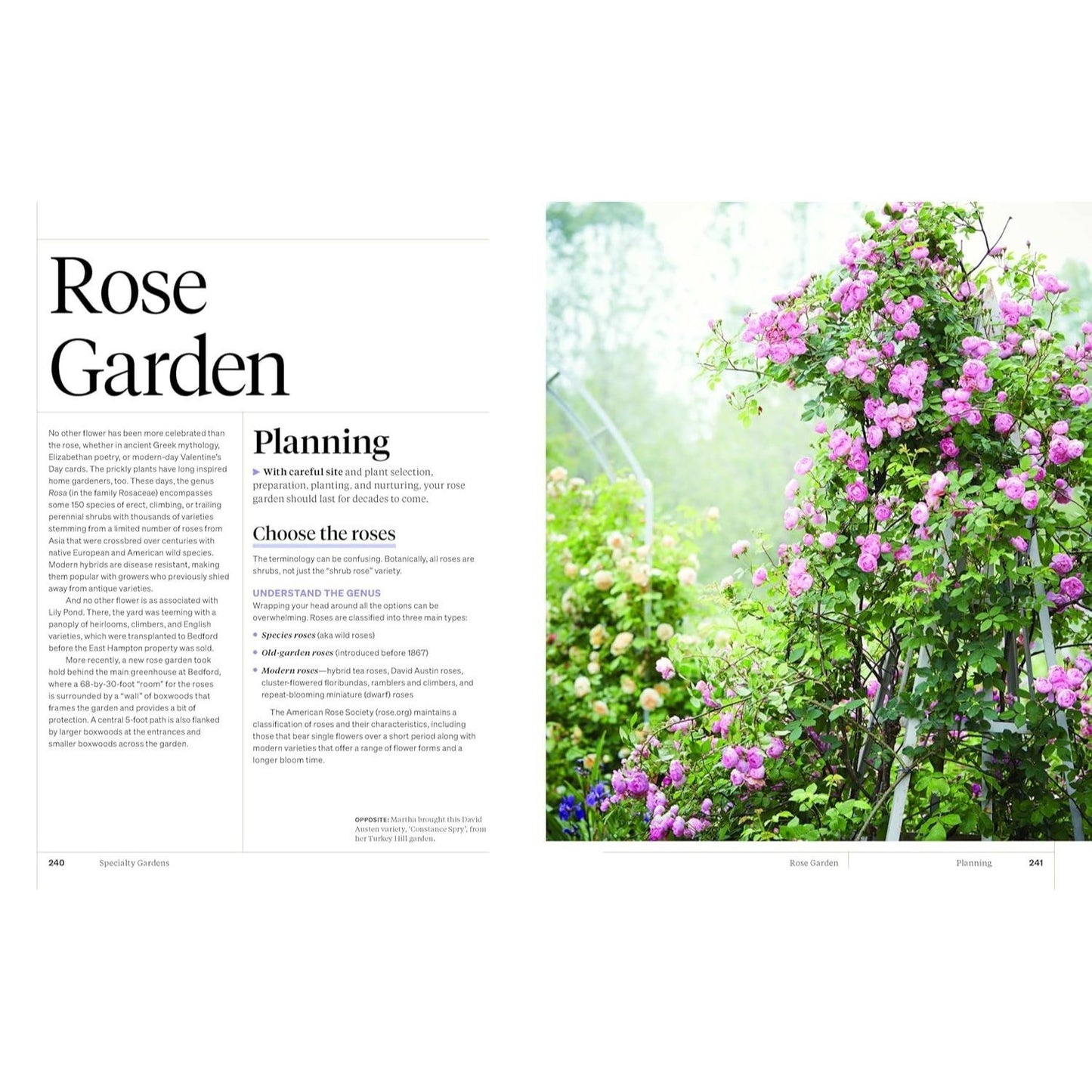 Martha Stewart's Gardening Handbook: The Essential Guide to Designing, Planting, and Growing (Spiral Bound)