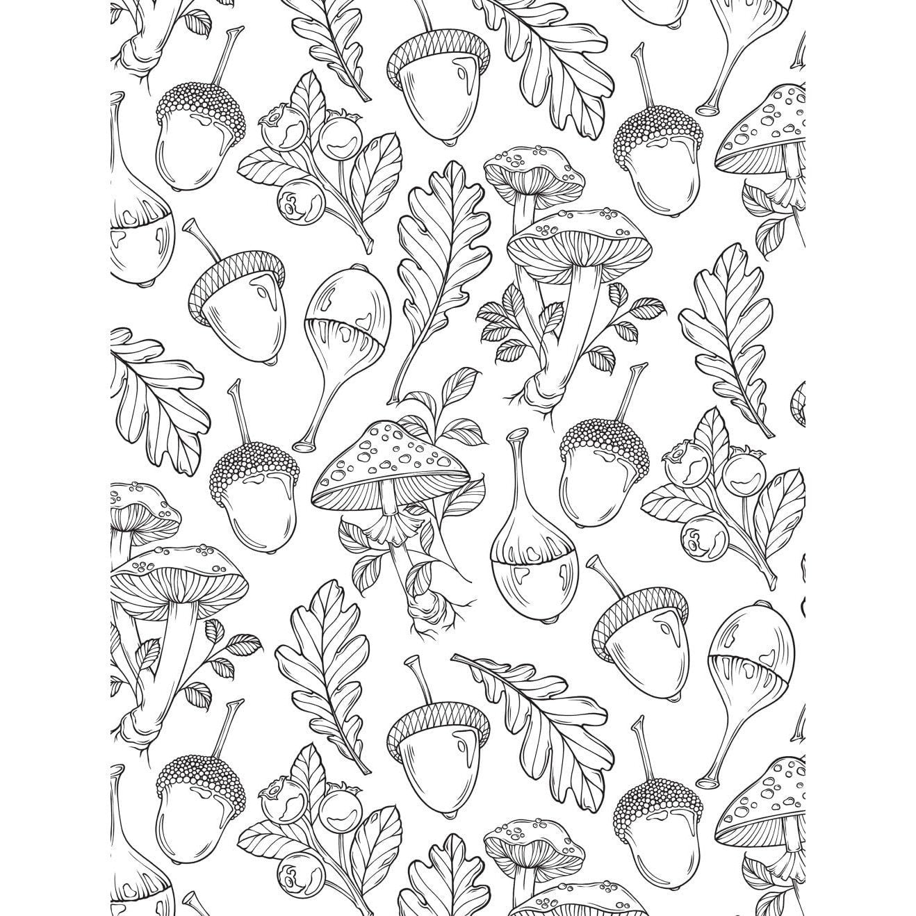 Creative Haven the Art of Mushrooms Coloring Book