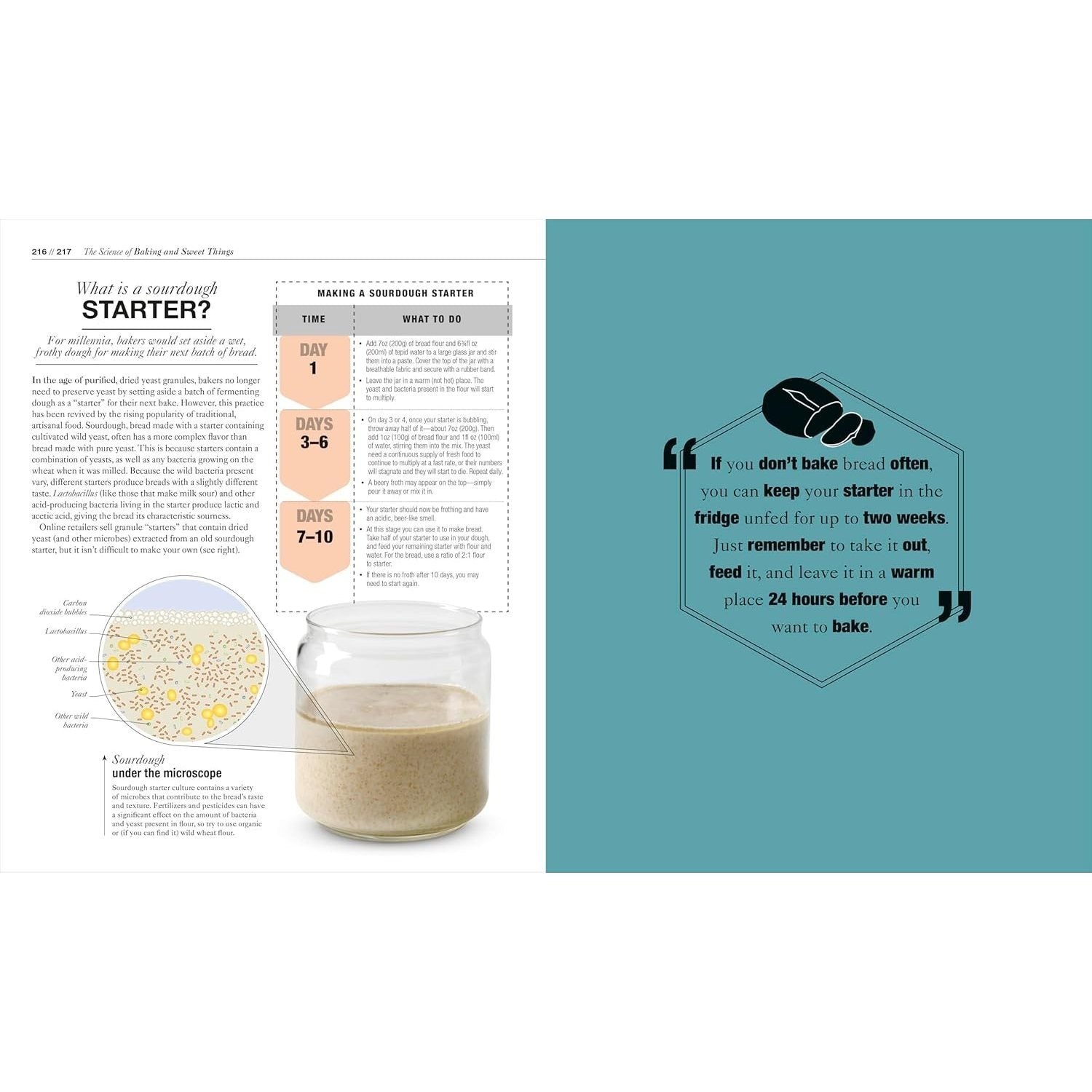 The Science of Cooking: Every Question Answered to Perfect Your Cooking (Spiral Bound)