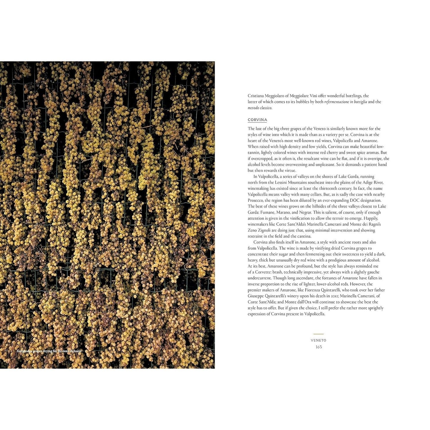 Vino: The Essential Guide to Real Italian Wine