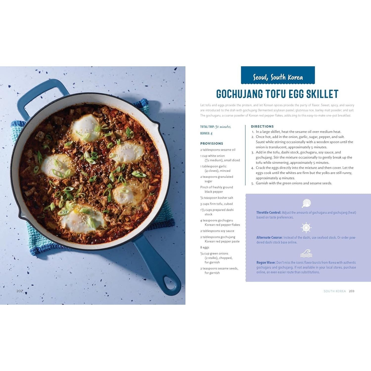 Passport to Flavor: 100 Global Dishes You Can Make Anywhere (an International Cookbook. Delicious Recipes from Around the World)