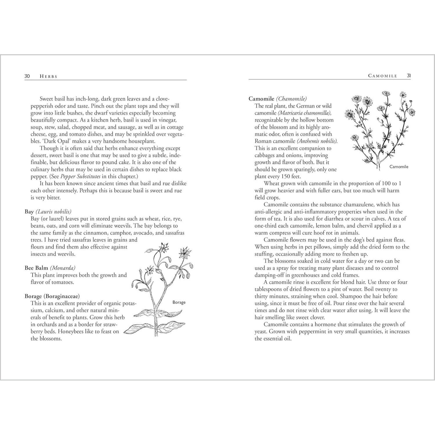 Carrots Love Tomatoes: Secrets of Companion Planting for Successful Gardening (Rev and Updated) (2ND ed.) (Spiral Bound)