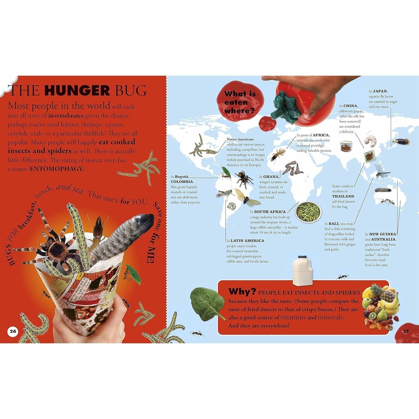 Everything You Need to Know about Bugs (Everything You Need to Know) (Spiral Bound)