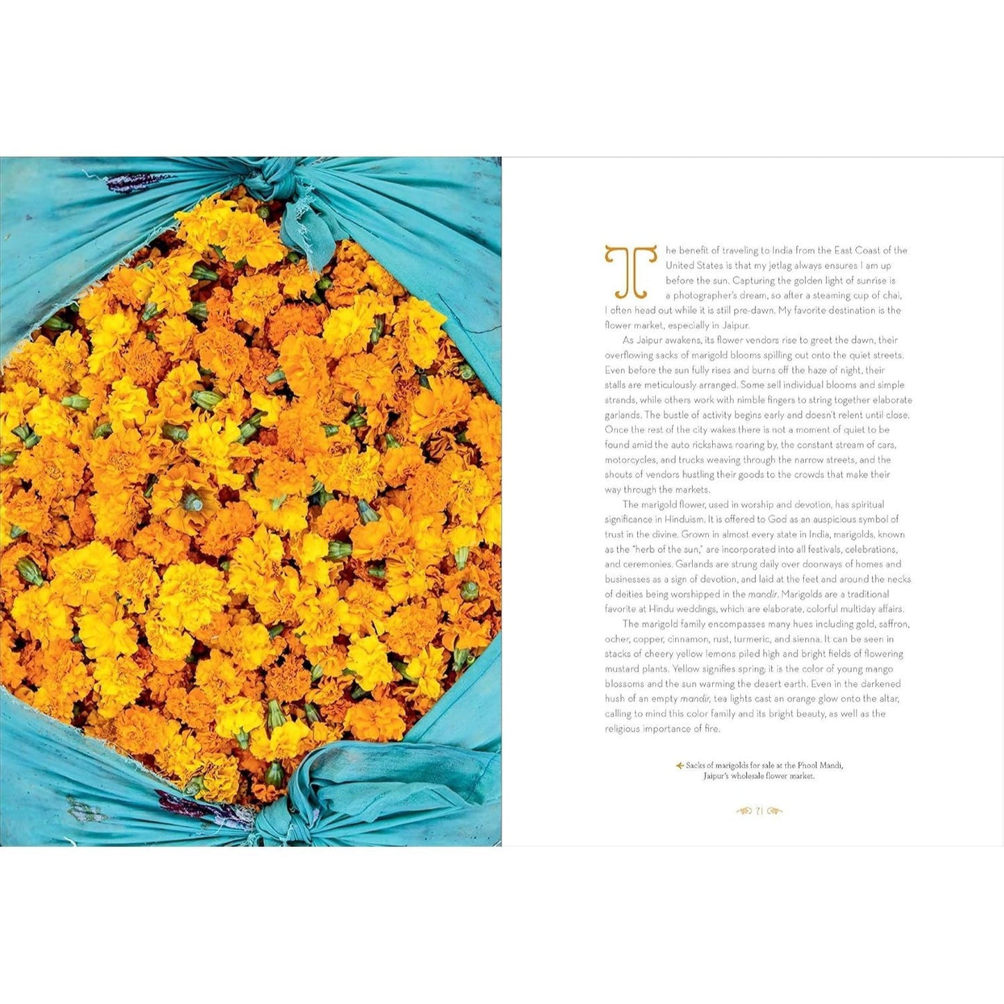 Patterns of India: A Journey Through Colors, Textiles, and the Vibrancy of Rajasthan
