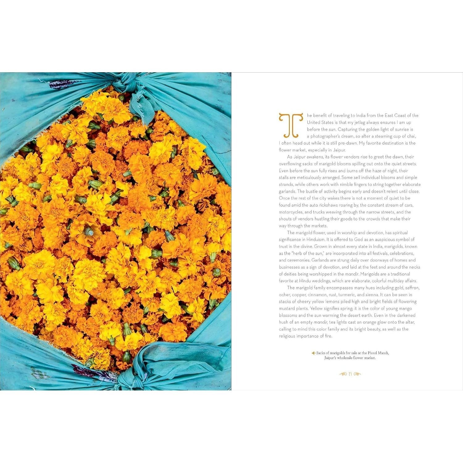 Patterns of India: A Journey Through Colors, Textiles, and the Vibrancy of Rajasthan