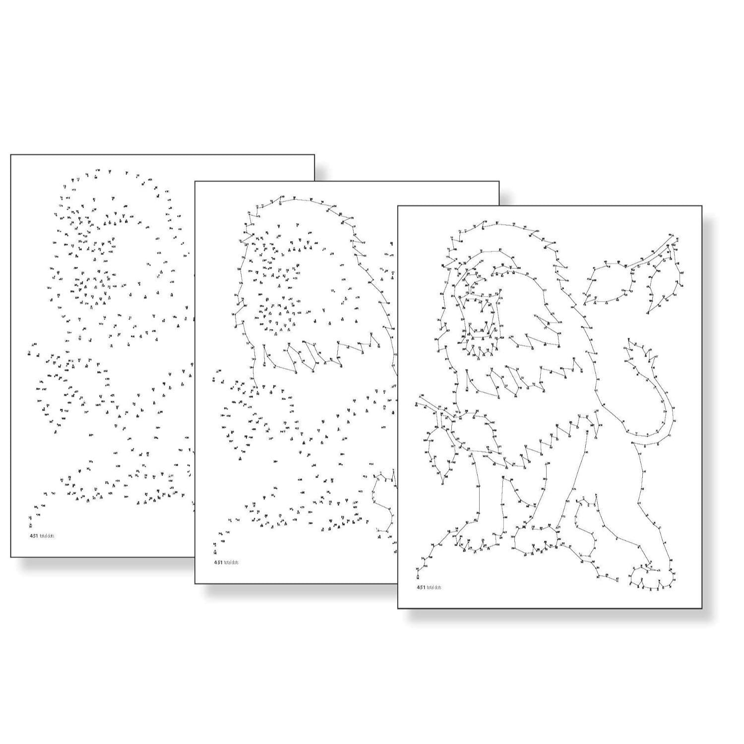 Creative Haven Sea Life Dot-To-Dot Coloring Book