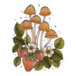 Creative Haven the Art of Mushrooms Coloring Book