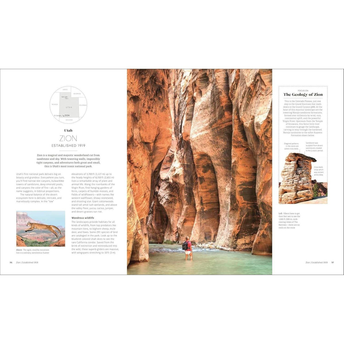 USA National Parks: Lands of Wonder (Spiral Bound)