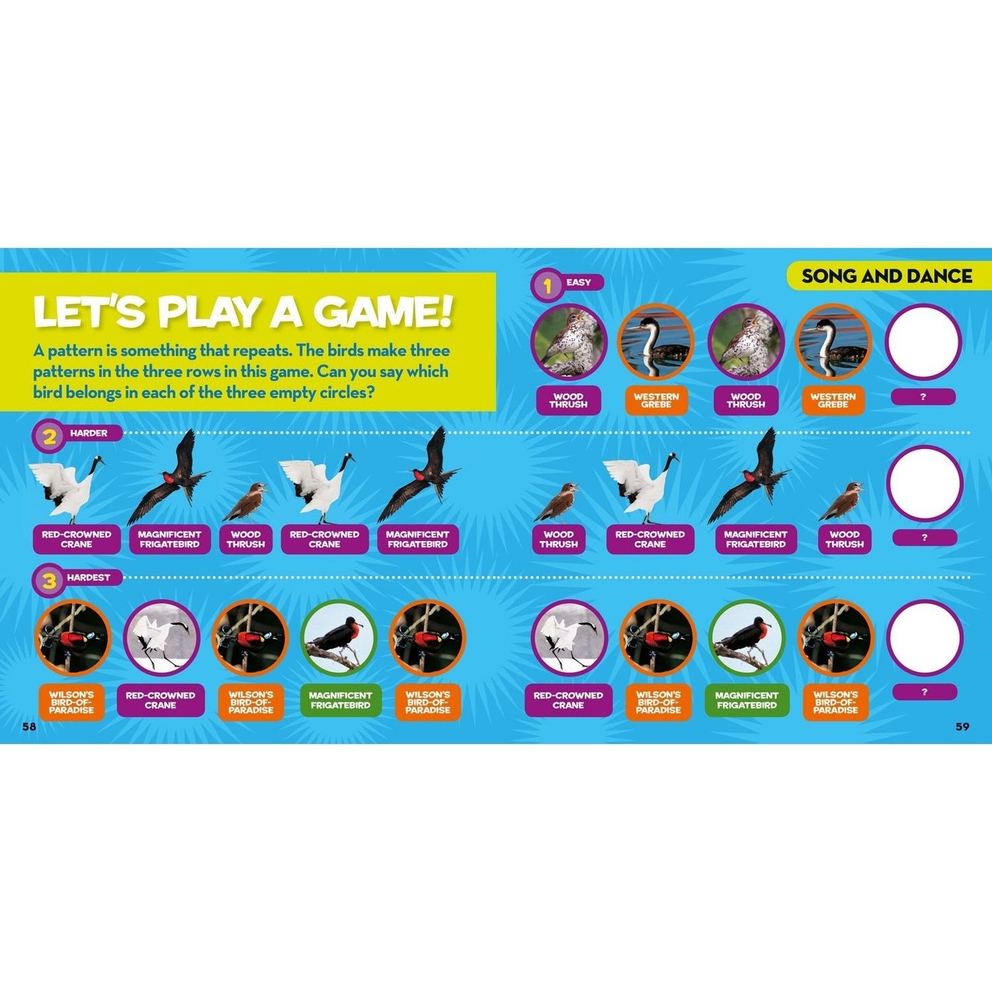 National Geographic Little Kids First Big Book of Birds (National Geographic Little Kids First Big Books) (Spiral Bound)