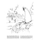National Parks Coloring Book