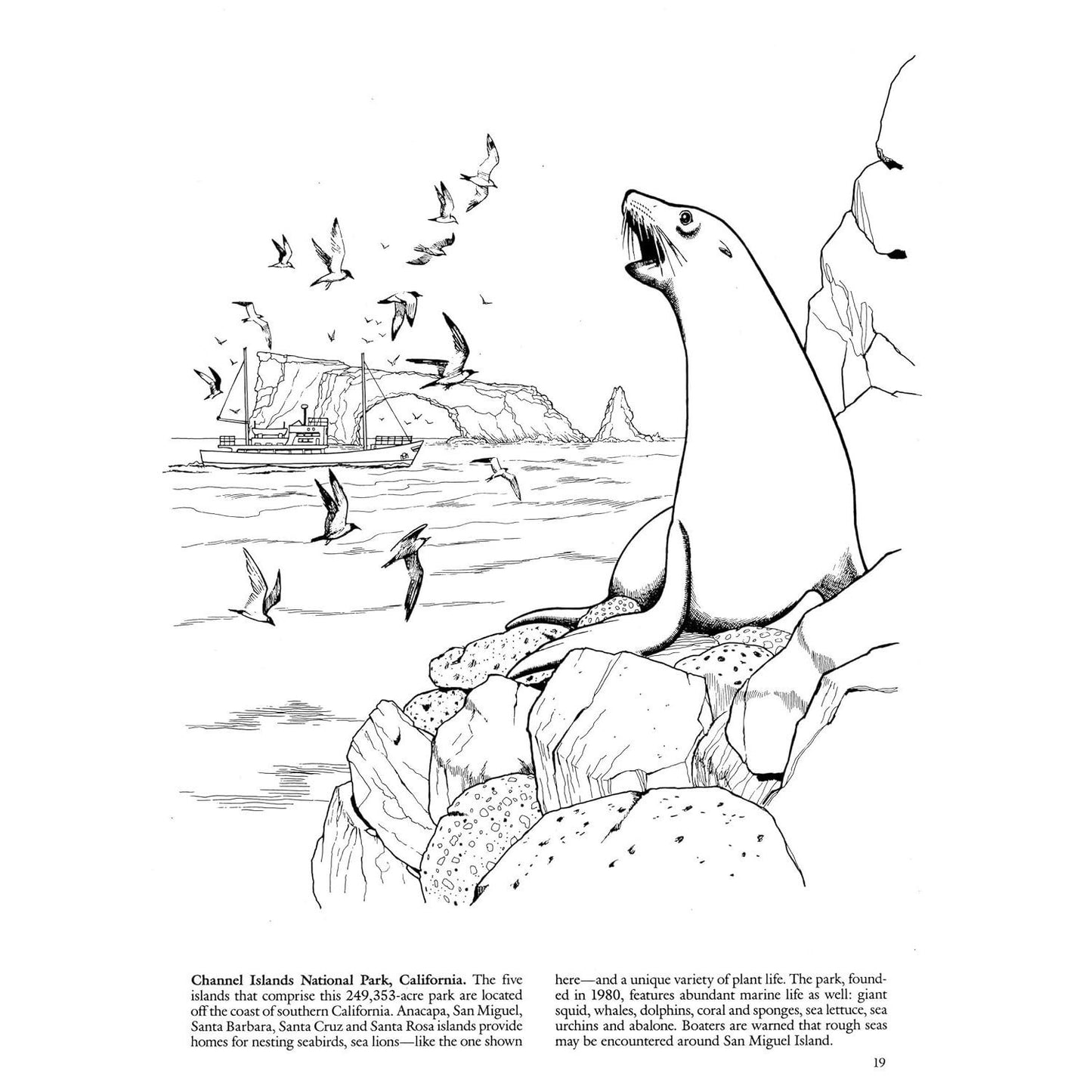 National Parks Coloring Book