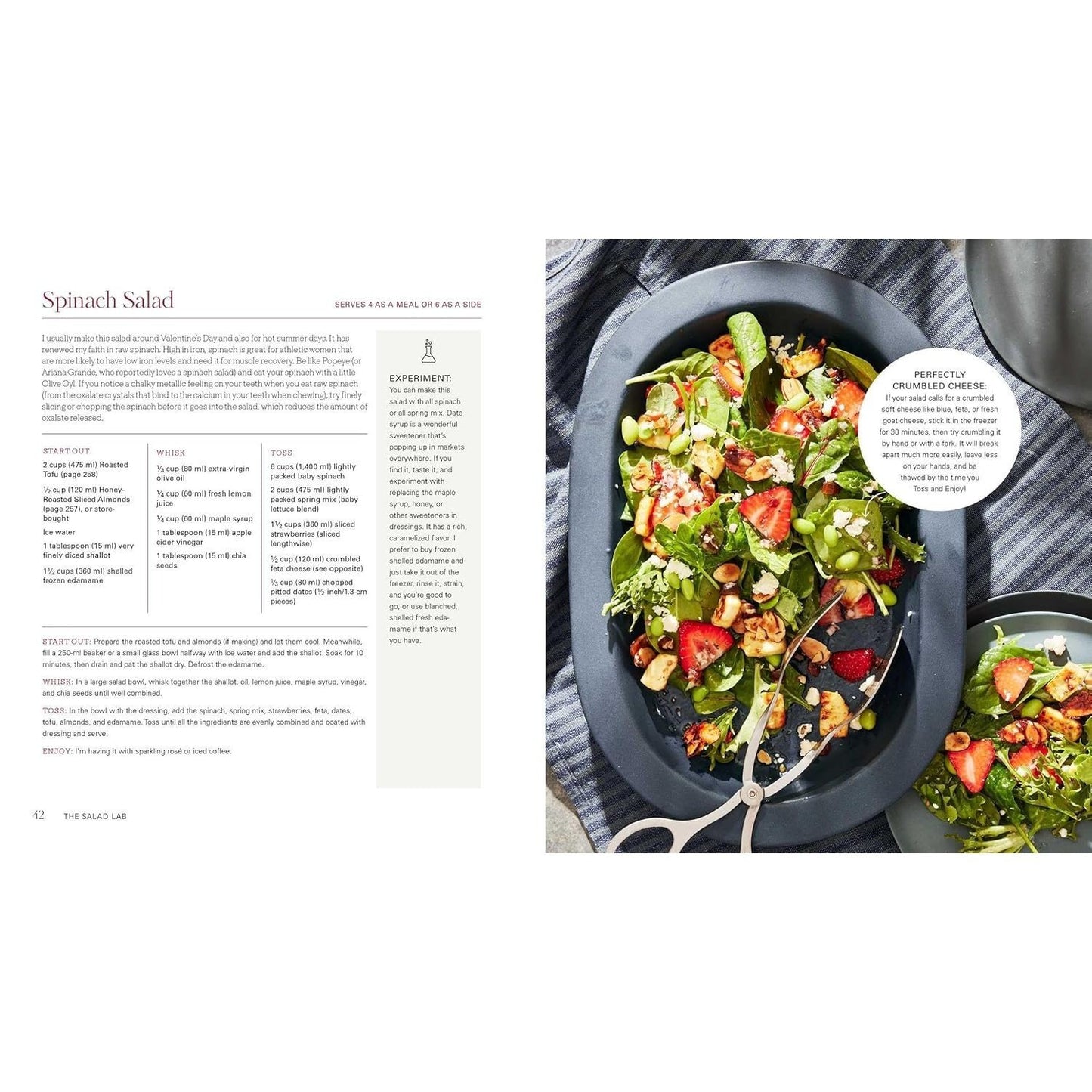 The Salad Lab: Whisk, Toss, Enjoy!: Recipes for Making Fabulous Salads Every Day (a Cookbook) (Spiral Bound)