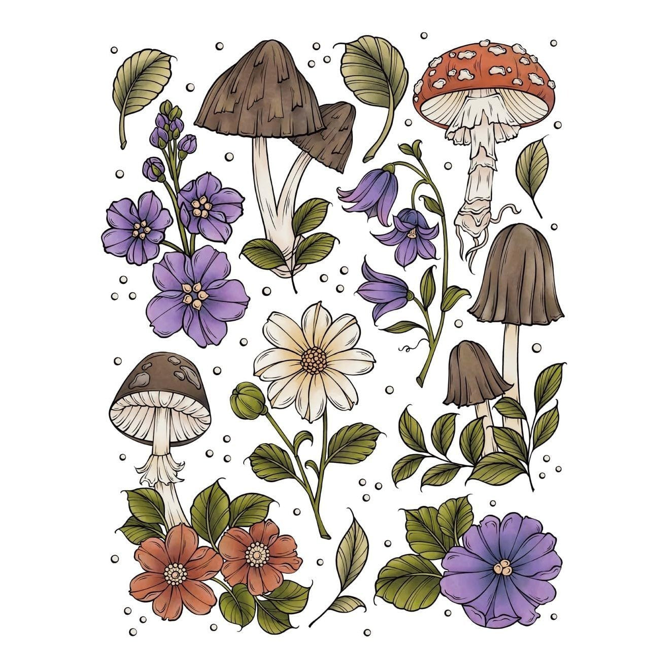 Creative Haven the Art of Mushrooms Coloring Book
